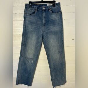 BlankNYC The Baxter Love to See it Jean, women’s size 31. Ribcage straight leg.